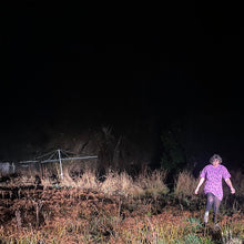 Load image into Gallery viewer, FLYING FOX FRUIT BAT T-Shirt Dress in Violet