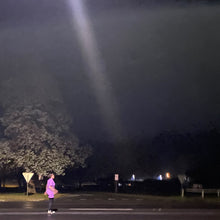 Load image into Gallery viewer, FLYING FOX FRUIT BAT T-Shirt Dress in Violet